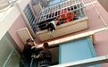 揪心！4岁男孩悬空被卡5楼窗口护栏……