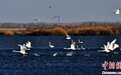 黄河水奔流沙尘暴策源地 阻止两大沙漠合拢