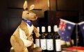 重大利好 2023年 澳洲酒有望回归中国市场！