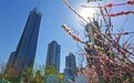 走进济南CBD，感受朝气蓬勃的“春天”