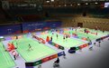 中国(瑞昌)国际羽毛球大师赛3月14日至19日精彩开赛