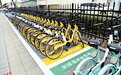 太原街头出现“四色停车位”