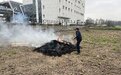 鄞州区姜山镇综合行政执法队查处一起随意焚烧秸秆行为