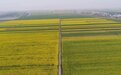 江洲第三届生态旅游节暨“2023江西消费提振年”九江柴桑系列活动开幕