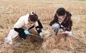 开足马力备春耕｜镇海土地吃上定制“营养餐”