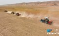 “铁牛”奔腾闹田间 快“瞰”甘肃民乐春耕大场面