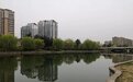 诸城：大力治理水环境护航“一河清水向北流”