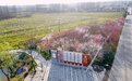 党建引领擘画集体经济发展新画卷 罗山县尤店乡方湾村壮大发展集体经济典型案例