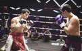 甘肃首位亚洲拳王诞生！兰州小伙拿下国际金腰带