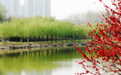 中国式现代化的“郑州图景”|“环境保护”之三：信有山林在市城