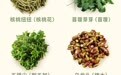 野菜成了"城市轻奢" 也变成一种复杂的乡愁与感念