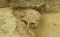 2022年度全国十大考古新发现结果正式揭晓