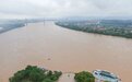 江西提前入汛！ 航拍赣江上游江水迅涨湍急浑浊（图）