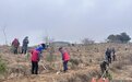 植树造林“绿”家园 庄浪种下春天的希望