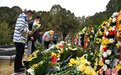 陈红军家人带着"家乡味"清明祭扫 两岁儿子已会敬军礼