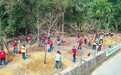 大良红岗社区举办“青年林”植树活动