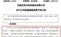 碳酸锂跌破25万元/吨，宜春部分云母提锂企业已停产以挺价