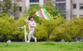 南昌：忙趁春风放纸鸢（图）