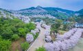 瞰！最是一年好春时