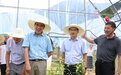 中国第一人！院士当“村官”，一干已五年