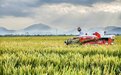 稳增长、调结构、提质量  象山赋能水稻全产业链机械化高水平发展