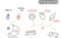 鱼油DHA、藻油DHA、磷脂DHA，究竟有什么区别？