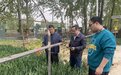 助力乡村振兴！民盟河南农业大学委员会副主委张猛教授带队赴中牟县开展科技服务活动