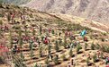 “2023甘肃植树公益行”活动在临夏州康乐县举行