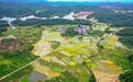 航拍吉水乡村春景 生态宜居美如画（图）