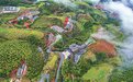 航拍崇义县上堡梯田 美如仙境（图）