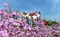 湖北南漳：杜鹃花开满目春