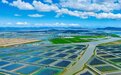 四项指标“全市第一”！从三个关键词看宁海的产业革新“内胆”