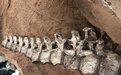 全球罕见！江西境内首次发现巨型恐龙化石