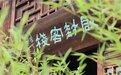 游开封、住启封！五一民宿坚决不涨价，更有门票送！