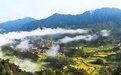 山海协作 共富弄“茶”儿讲好“大兴安岭”的故事