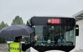 返程遇大雨 他们冒雨为乘客撑伞、拿行李