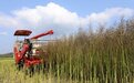 吉安安福县：油菜生产机械化 乡村振兴动力足