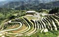 遂川县：梯田风光 景色优美（图）