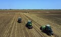 白城市洮北区：110.5万亩玉米播种接近尾声