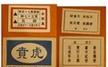 陈永新：艺术创作“不死的中国”
