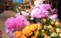 花经济秀出“新花样”！