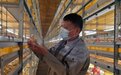 泰国养鸡专家扎根吉林：把高品质鸡肉端上中国餐桌