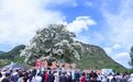 助力乡村发展 “流苏文化节·花间集”主题活动在京举办