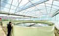 打好“绿色生态牌”！泰州靖江首个“鱼果共生”示范基地建成