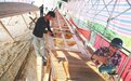 万年县梓埠镇年产龙舟近千艘 古老的龙舟制作技艺得到传承