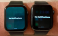 升级watchOS 9.5后 部分苹果Apple Watch用户反映手表出现绿屏