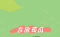 夏日专属甜美！山东西瓜图鉴