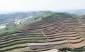 白银整治撂荒有“粮”策 沉睡土地“忙”个不停