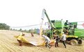 与天抢时保夏收 昨日郑州市出动700余台联合收割机抢收小麦