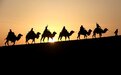 “堵骆驼”热度还未散去 丝路旅游再迎“黄金季”